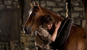 ���� ���